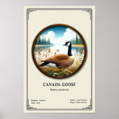 Canada Goose Zoology Series Poster (Voorkant)