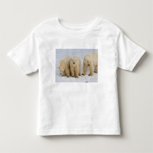 Canada, Hudson Bay. Polaire beer moeder met twee k Kinder Shirts (Voorkant)