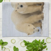 Canada, Hudson Bay. Polaire beer moeder met twee k Theedoek (Gevouwen)