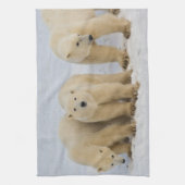 Canada, Hudson Bay. Polaire beer moeder met twee k Theedoek (Verticaal)