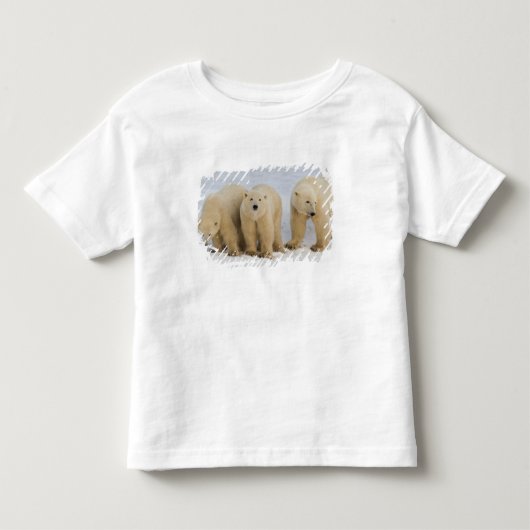 Canada, Hudsonbaai. IJsbeer moeder met twee Kinder Shirts (Voorkant)