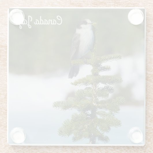 Canada jay glazen onderzetter (Achterkant)