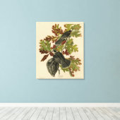 Canada Jay (Gray Jay) - de Amerikaanse vogels van Canvas Afdruk (Insitu (Houten vloer))