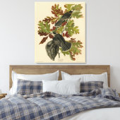 Canada Jay (Gray Jay) - de Amerikaanse vogels van Canvas Afdruk (Insitu (Slaapkamer))