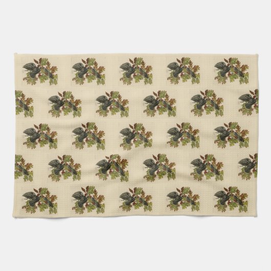 Canada Jay (Gray Jay) - de Amerikaanse vogels van Theedoek (Horizontaal)