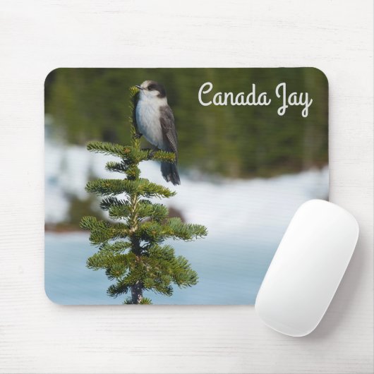 Canada Jay Muismat (Met muis)
