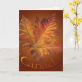 Canada Kaarten Canada Maple Leaf Wenskaarten (Gele Bloem)