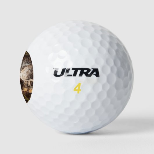 Canada Lynx Golfballen (Logo)