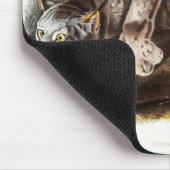 Canada Lynx Muismat (Hoek)