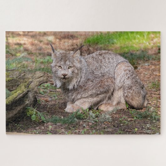 Canada Lynx Natuur Lover met uitdagingen Legpuzzel (Horizontaal)