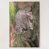 Canada Lynx Natuur Lover met uitdagingen Legpuzzel (Verticaal)