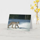 Canada lynx op sneeuw kaart (Gele Bloem)
