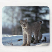 Canada lynx op sneeuw muismat (Voorkant)