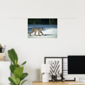 Canada lynx op sneeuw poster (Thuiskantoor)