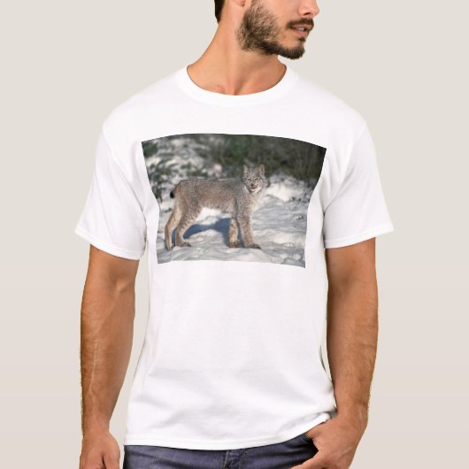 Canada lynx op sneeuw t-shirt (Voorkant)
