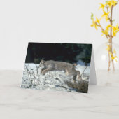 Canada lynx springen, bounding op sneeuw kaart (Gele Bloem)