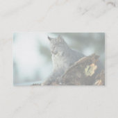 Canada lynx visitekaartje (Achterkant)