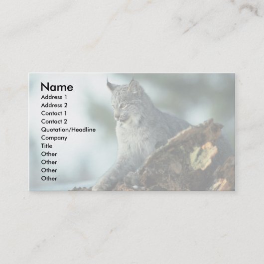 Canada lynx visitekaartje (Voorkant)