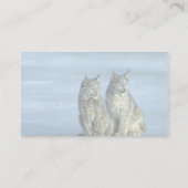 Canada lynx, winter, paar per ijskoude stroom visitekaartje (Achterkant)
