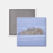 Canada Magneet (Voorkant / Achterkant)