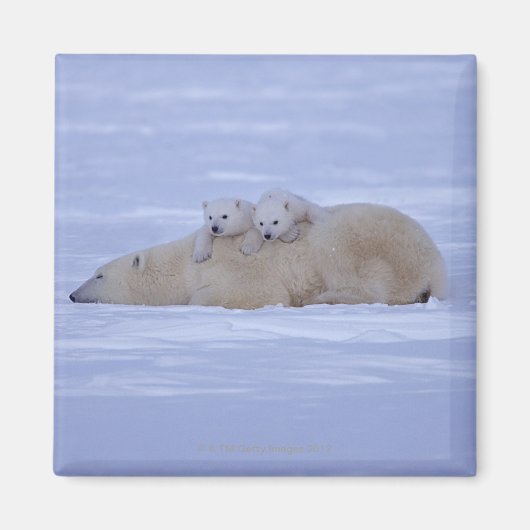 Canada Magneet (Voorkant)