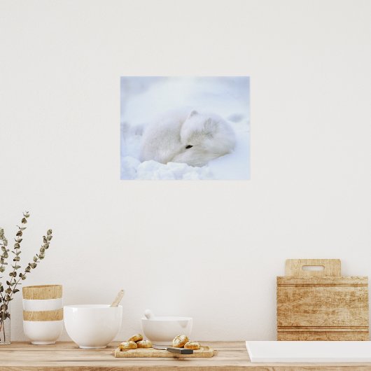 Canada, Manitoba, Churchill. Kunstvossen met Poster (Keuken)