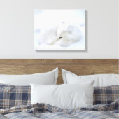 Canada, Manitoba, Churchill. Poolvos Canvas Afdruk (Insitu (Slaapkamer))