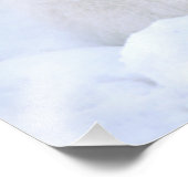 Canada, Manitoba, Churchill. poolvos Foto Afdruk (Hoek)