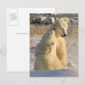 Canada, Manitoba, Hudson Bay, Churchill. Briefkaart (Voorkant / Achterkant)