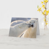 Canada, Manitoba, Hudson Bay, Churchill. Polar Kaart (Gele Bloem)