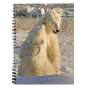 Canada, Manitoba, Hudsonbaai, Churchill. Notitieboek