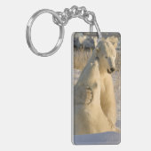 Canada, Manitoba, Hudsonbaai, Churchill. Sleutelhanger (Voorkant Links)
