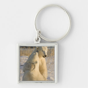 Canada, Manitoba, Hudsonbaai, Churchill. Sleutelhanger