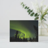 Canada, Manitoba. Uitzicht van aurora borealis en Briefkaart (Staand voorkant)