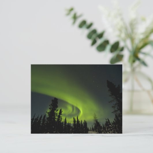 Canada, Manitoba. Uitzicht van aurora borealis en Briefkaart (Staand voorkant)