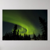Canada, Manitoba. Uitzicht van aurora borealis en Poster (Voorkant)