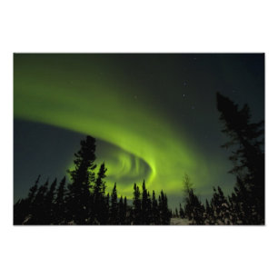Canada, Manitoba. Zicht op aurora borealis en Foto Afdruk