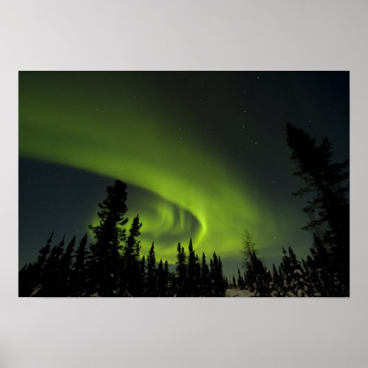 Canada, Manitoba. Zicht op aurora borealis en Poster (Voorkant)