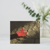 Canada Maple Leaf Briefkaart (Staand voorkant)