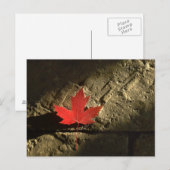 Canada Maple Leaf Briefkaart (Voorkant / Achterkant)