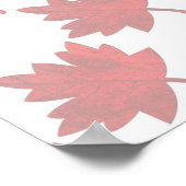 Canada-Maple Leaf by Shirley Taylor Poster (Hoek)