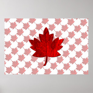Canada-Maple Leaf by Shirley Taylor Poster