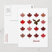 Canada Maple Leaf en Moose briefkaart (Voorkant / Achterkant)