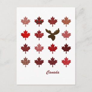 Canada Maple Leaf en Moose briefkaart