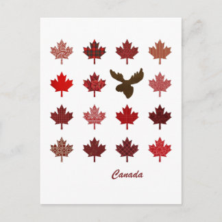 Canada Maple Leaf en Moose briefkaart