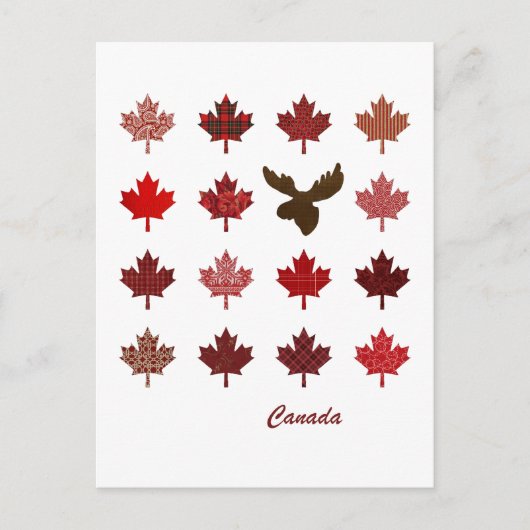 Canada Maple Leaf en Moose briefkaart (Voorkant)