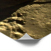 Canada Maple Leaf Poster (Hoek)