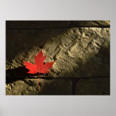 Canada Maple Leaf Poster (Voorkant)