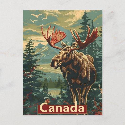 Canada Moose  Briefkaart (Voorkant)