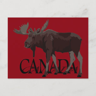 Canada Moose Briefkaarten Canadian Souvenir Briefk